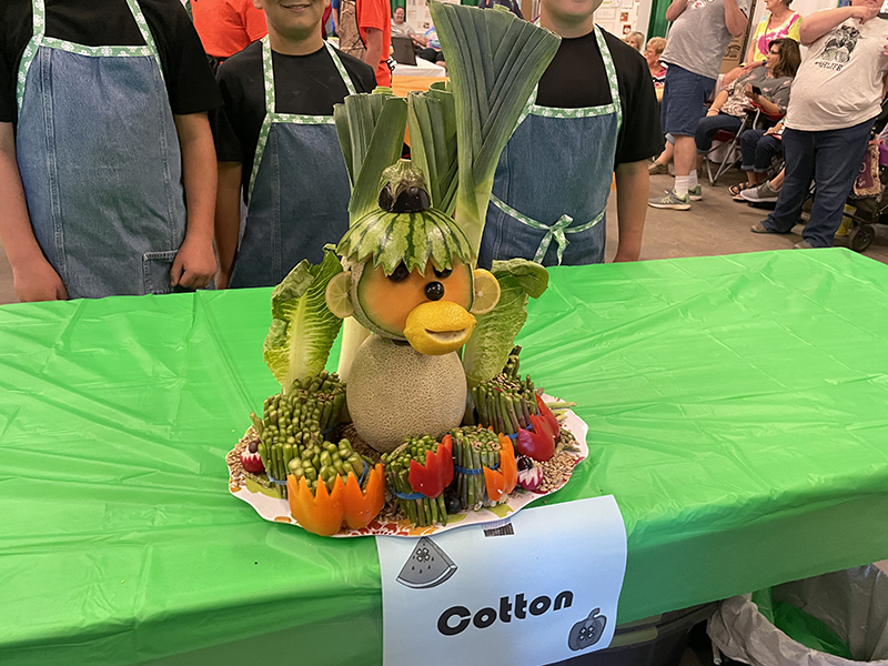 Fruit Sculpting Cotton County Junior Champion Fruit Sculpting Cotton County Junior Champion